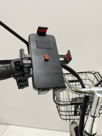 Электровелосипед GreenCamel Транк 20 V8 литой (R20 500W 60V10Ah)