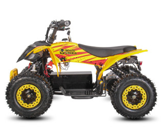 Электроквадроцикл White Siberia Sneg Leto R, желтый